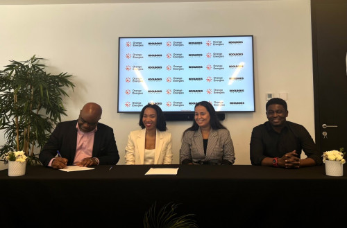 APO_source's tweet image. Orange accelerates the deployment of Orange Energies and launches a solar freezer offer in partnership with Koolboks in 12 African countries @orange @presseorange #Africa #Koolboks #SolarFreezer #Partnership
Read more: apo-opa.info/46N2irW