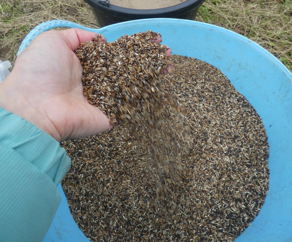 West Country Buzz tweet media