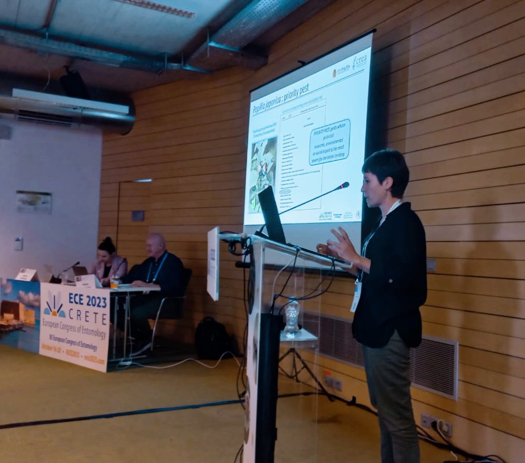 Thanks to @ece2023 for the opportunity to present data of @IPMPopillia regarding the control of potted plants infested by #Popilliajaponica using entomopathogenic nematodes and fungi.