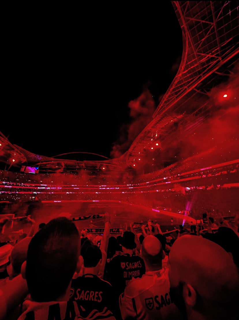 🇵🇹 SL Benfica stadium 🔴