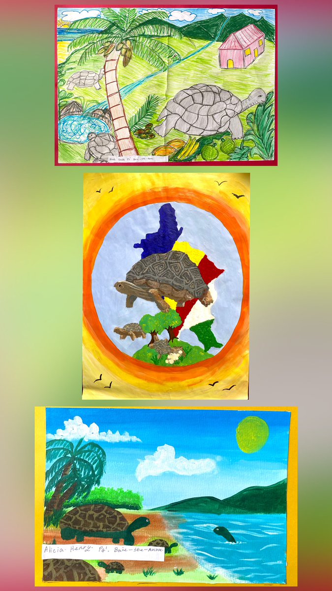 Indian Ocean Tortoise Alliance tweet media