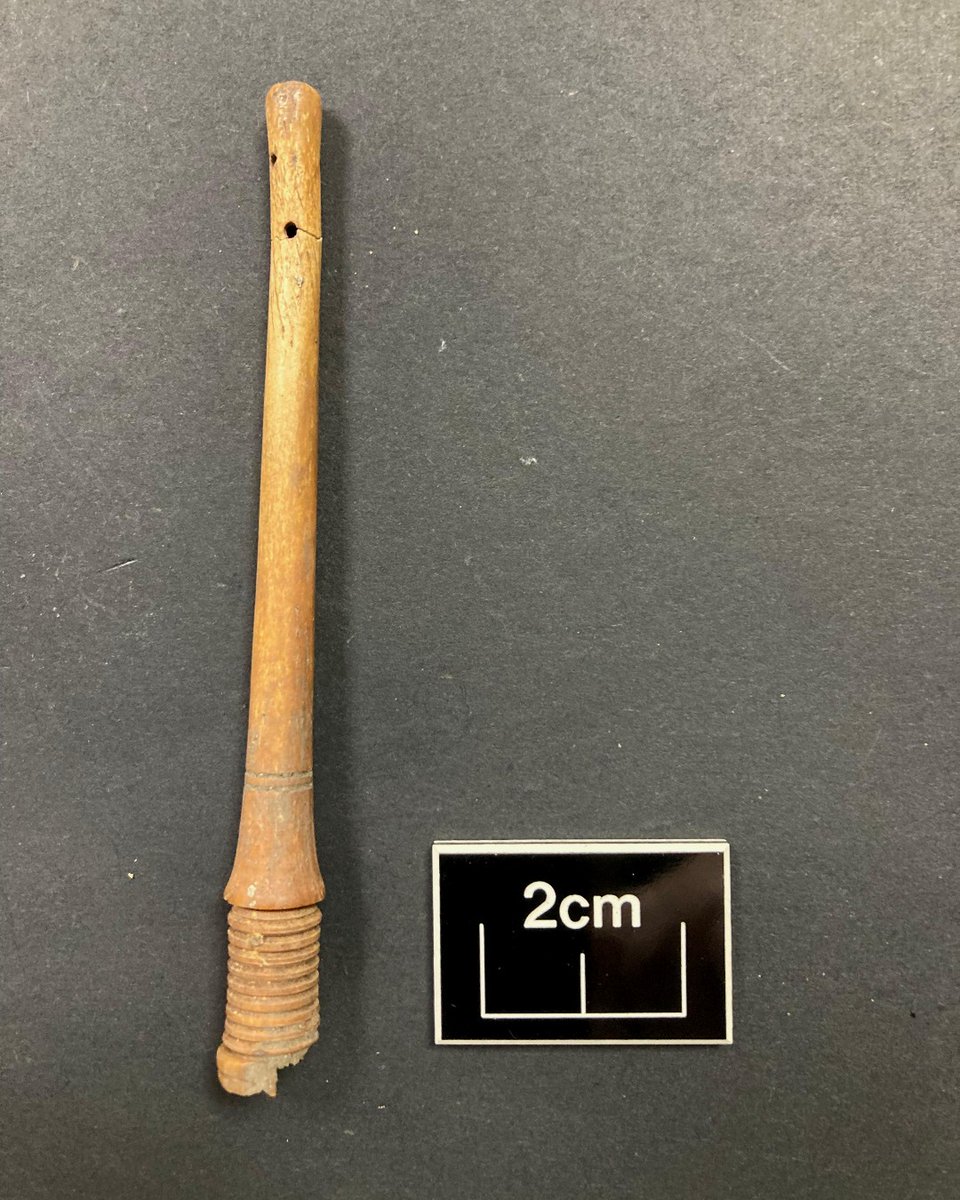wessexarch's tweet photo. Interested in the posterior pampering habits of 18th c. Bristolians? This bone nozzle, found in a cesspit, is from an enema syringe used to inject water (or wine or milk) into a patient's rectum to treat medical ailments.
Who said archaeology isn't glamorous?
#FoundInTheGround https://t.co/DHenEz2Xa5