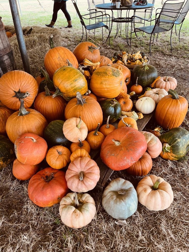 Thank you to the students and families that supported the BTMS Music Fundraiser at Simmons Farms last weekend. Thank you to Simmons Farms for your support of BTMS Music. The students had a great time at the farm!