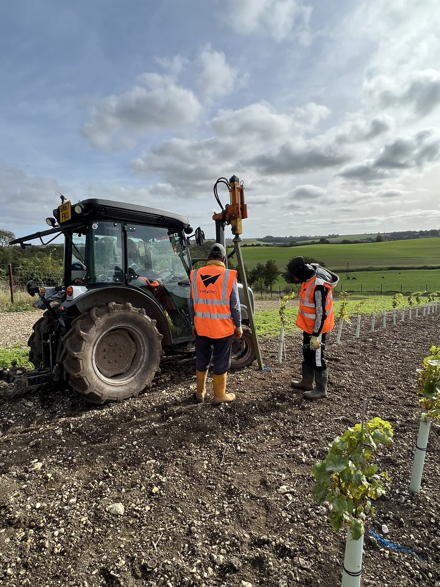 Number 1 of 282 end posts going in today here at the vineyard @southormsby I’ve chosen the two estate colours, one for the end posts and the other for the intermediates #organic #vineyard #englishwine