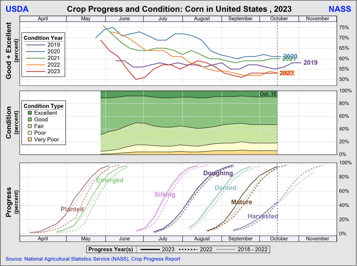 farmdocDaily's tweet image. #Corn condition in the U.S. is rated 53% good-to-excellent, as of Oct. 15, the same as last week. Corn #harvested is at 45%. Corn mature is at 95%.

tinyurl.com/4r6sfe3t