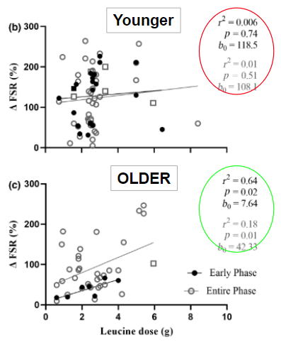 Leucine trigger hypothesis revisited.

In younger people there is no relationship between leucine dose ingested and MPS.

In older people this correlation *does* exist.

Important note, this data shows MPS acutely after resistance exercise.

pubmed.ncbi.nlm.nih.gov/37537134/