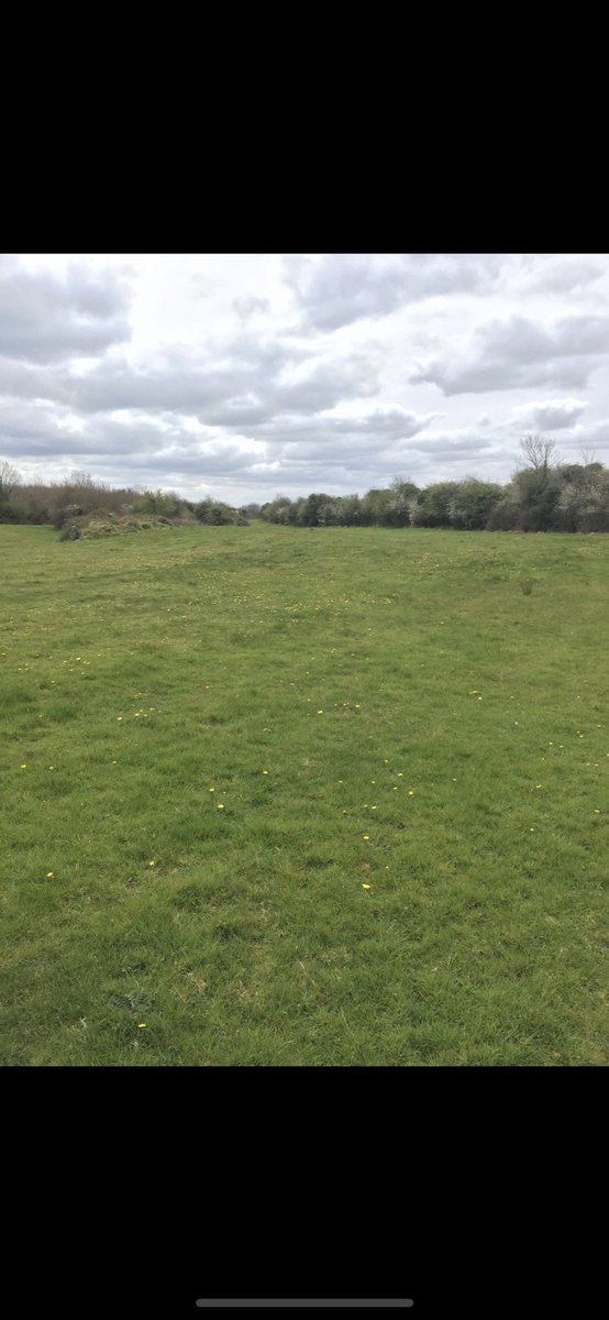 NiallW2's tweet photo. Took a piece of hungry land near home 3 years ago. It hadn’t been grazed all spring and there still wasn’t a blade of grass April 21, Oct 23 all it needed was TLC #grass2beef #grass10 https://t.co/qJMY4bUfYK