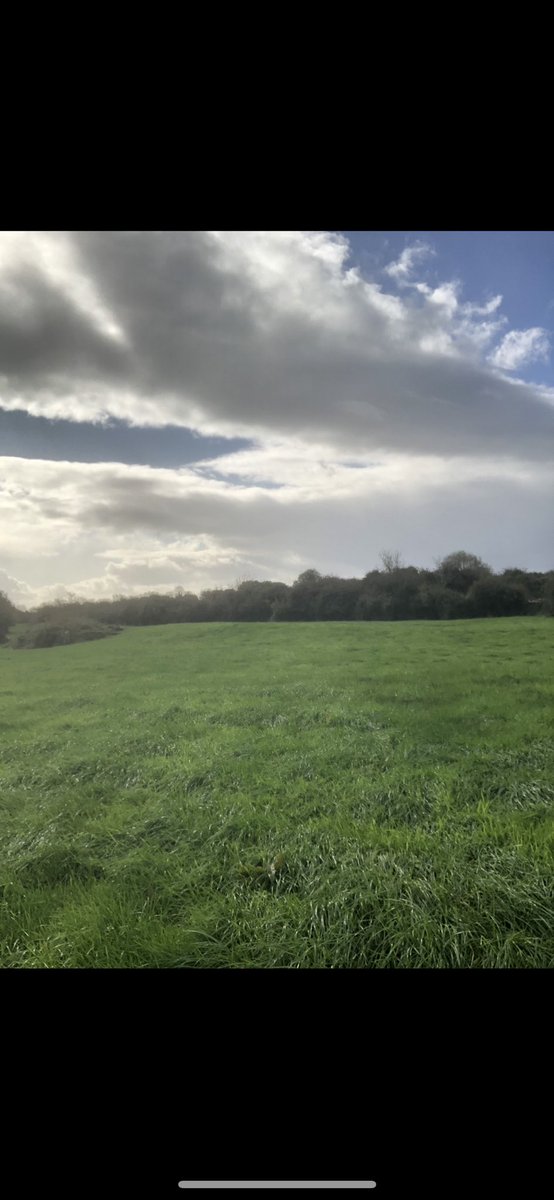 Took a piece of hungry land near home 3 years ago. It hadn’t been grazed all spring and there still wasn’t a blade of grass April 21, Oct 23 all it needed was TLC #grass2beef #grass10