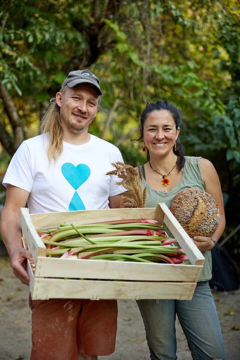 PITER ALPIMED tweet media