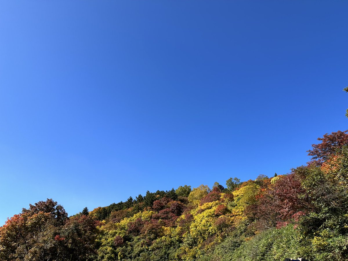 mikitadao's tweet photo. 🍂⛰️ https://t.co/bWCyTgN2PY