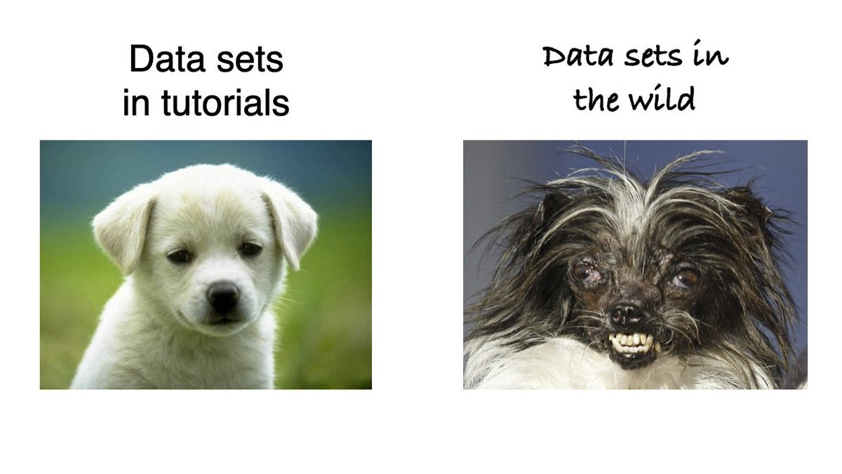 Felicity Lamrock (@flossybap) on Twitter photo Two Mondayās ago I presented at our MSc Data Analytics Induction. As Programme Director I had to make sure the students have a realistic expectation of the courseā¦hoping I didnāt scare them too much with this slideā¦<a href="/QUBMathsPhys/">QUB - Maths&Physics</a> <a href="/qubgradschool/">The Graduate School</a> Two Mondayās ago I presented at our MSc Data Analytics Induction. As Programme Director I had to make sure the students have a realistic expectation of the courseā¦hoping I didnāt scare them too much with this slideā¦<a href="/QUBMathsPhys/">QUB - Maths&Physics</a> <a href="/qubgradschool/">The Graduate School</a>