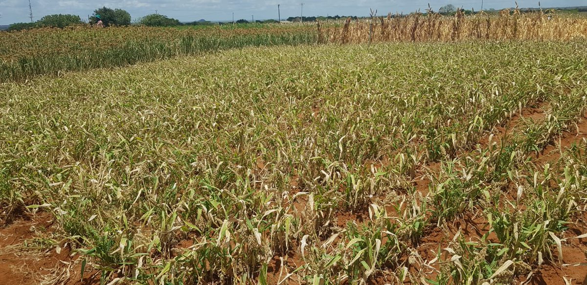 AgroTech Plus (ATP) tweet media