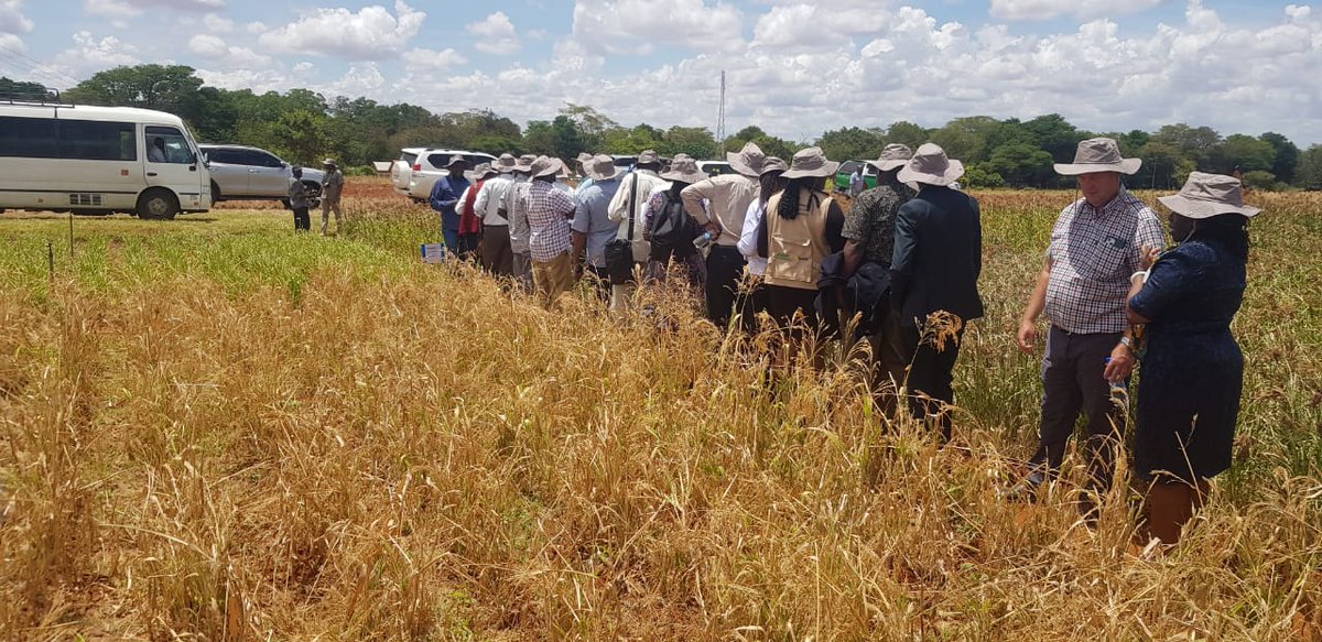 AgroTech Plus (ATP) tweet media