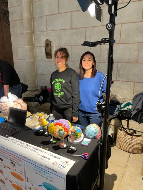 Le LNEC a participé ce week-end à la Fête de la Science, qui avait lieu au Palais des Ducs de Poitiers.
Les  membres du LNEC ont ainsi pu faire découvrir les Neurosciences aux  petits et aux grands.#FDS2023  @UnivPoitiers