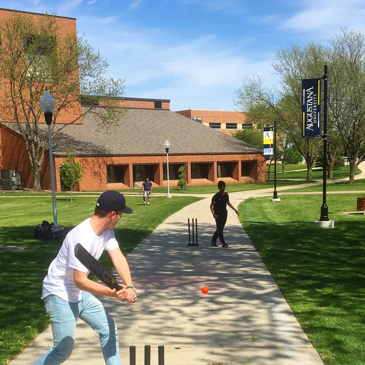 Dave O'Hara tweet media