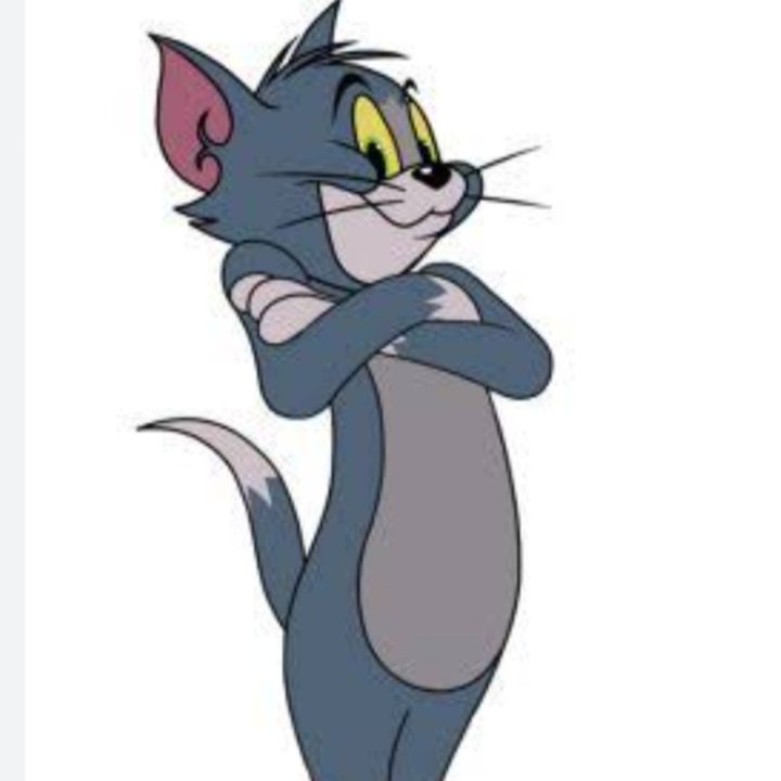 azcilikha_'s tweet photo. FANART TOM
On cartoon Tom&amp;Jerry

Awalnya cuman Chara random tpi dipikir-pikir mirip bgt sama Tom karakter fav di kartun kesukaan masa kecil

#Fanart #tomandjerry #tom #tomcat #digitalart #art #draw https://t.co/MrSXMu8YIR