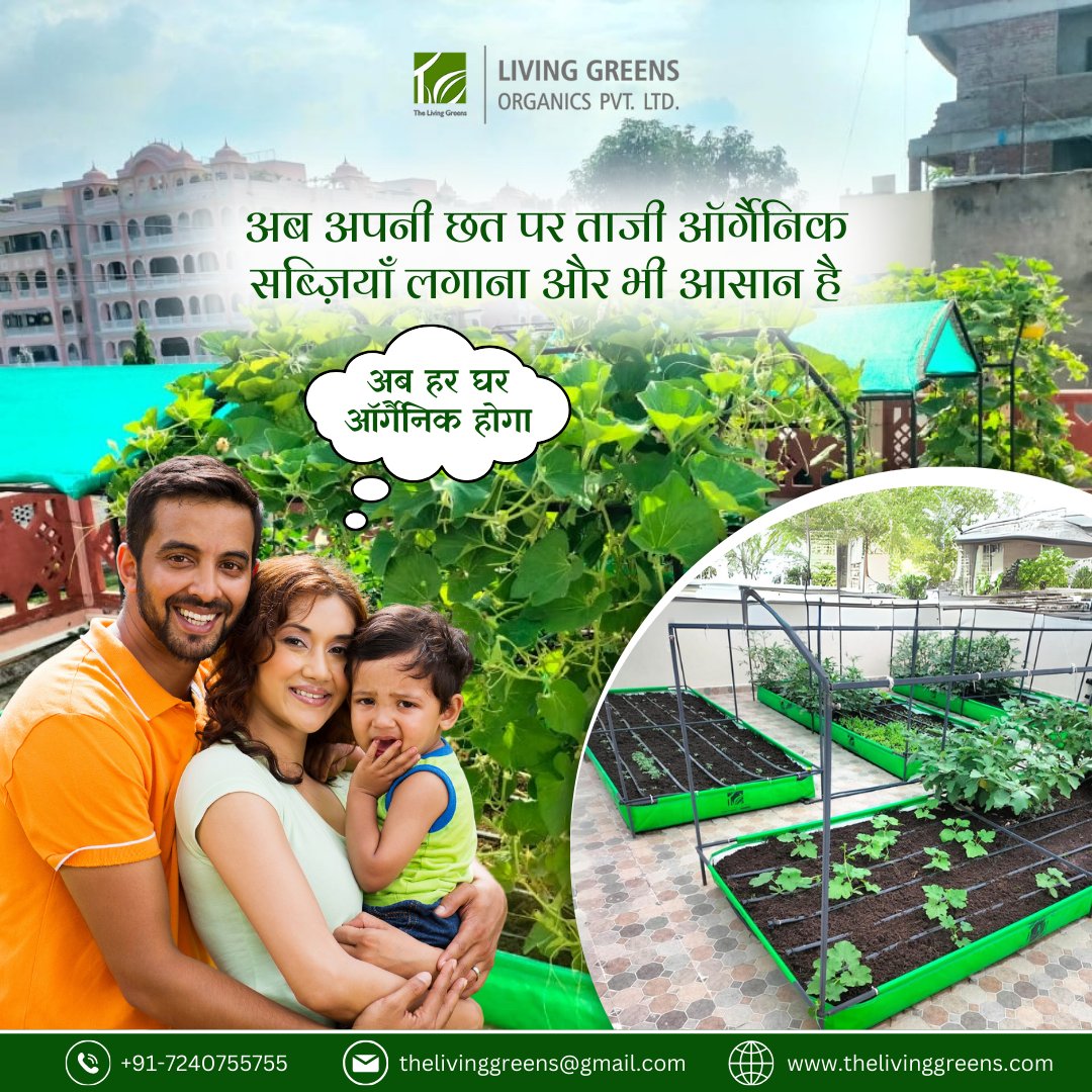 living_greens's tweet photo. Take the First Step in Rooftop Farming with The Living Greens!
Visit Our Site- https://t.co/lS6faQBI8t
#thelivinggreens #livinggreensorganics #urbanorganicfarming #organiceaters #schoolfarming #Urbanfarming #Urbanfarmingindia #futurefood #homegrownveggies #delhivegan #freshveggie https://t.co/irZ1LNMNJL