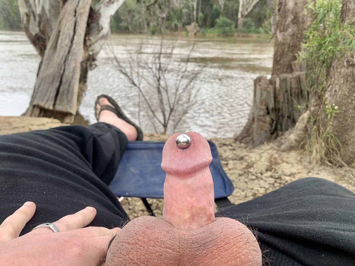 Pup Morty tweet media