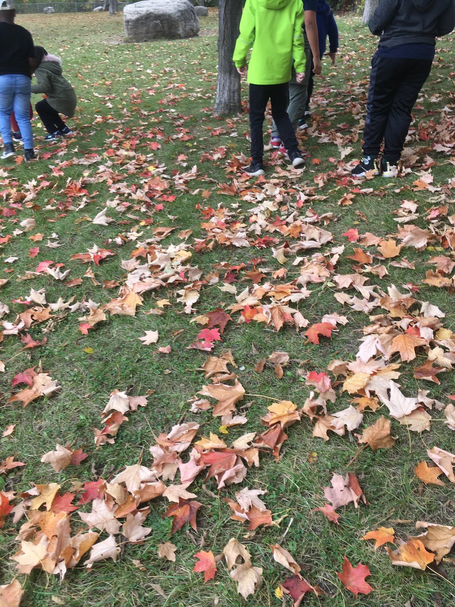 MrPoutineMPB's tweet image. C’est l’automne! @ocsbBonjour @ocsbArts @MPaulBaxterOCSB