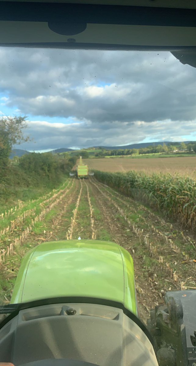 Amaizing weather #LandProj2023