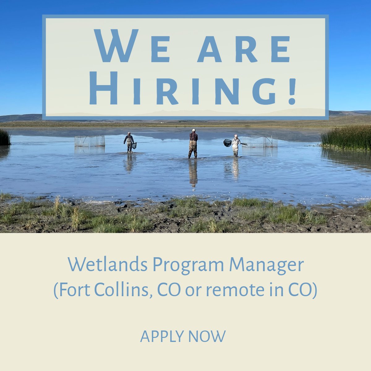 🚨WE ARE HIRING!🚨

Bird Conservancy is looking to add two Program Managers to our Stewardship team. Click the link below to download the complete job description and instructions on how to apply!

birdconservancy.org/jobs