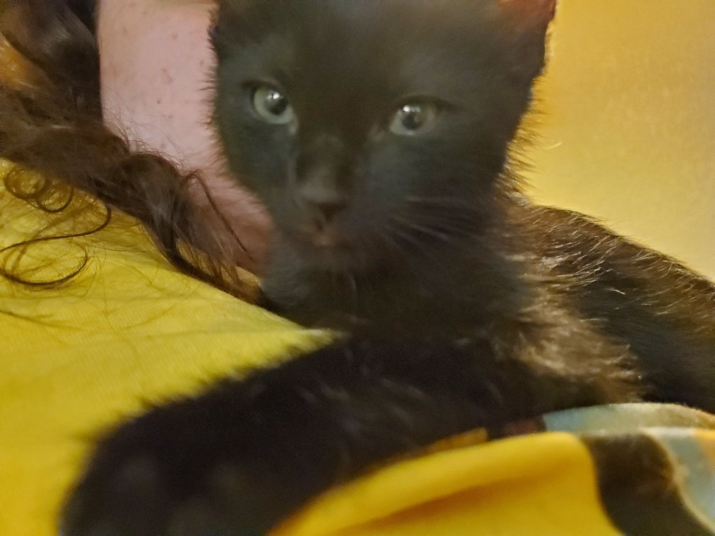 Midnight Barnes/Winchester 🇵🇸 tweet media