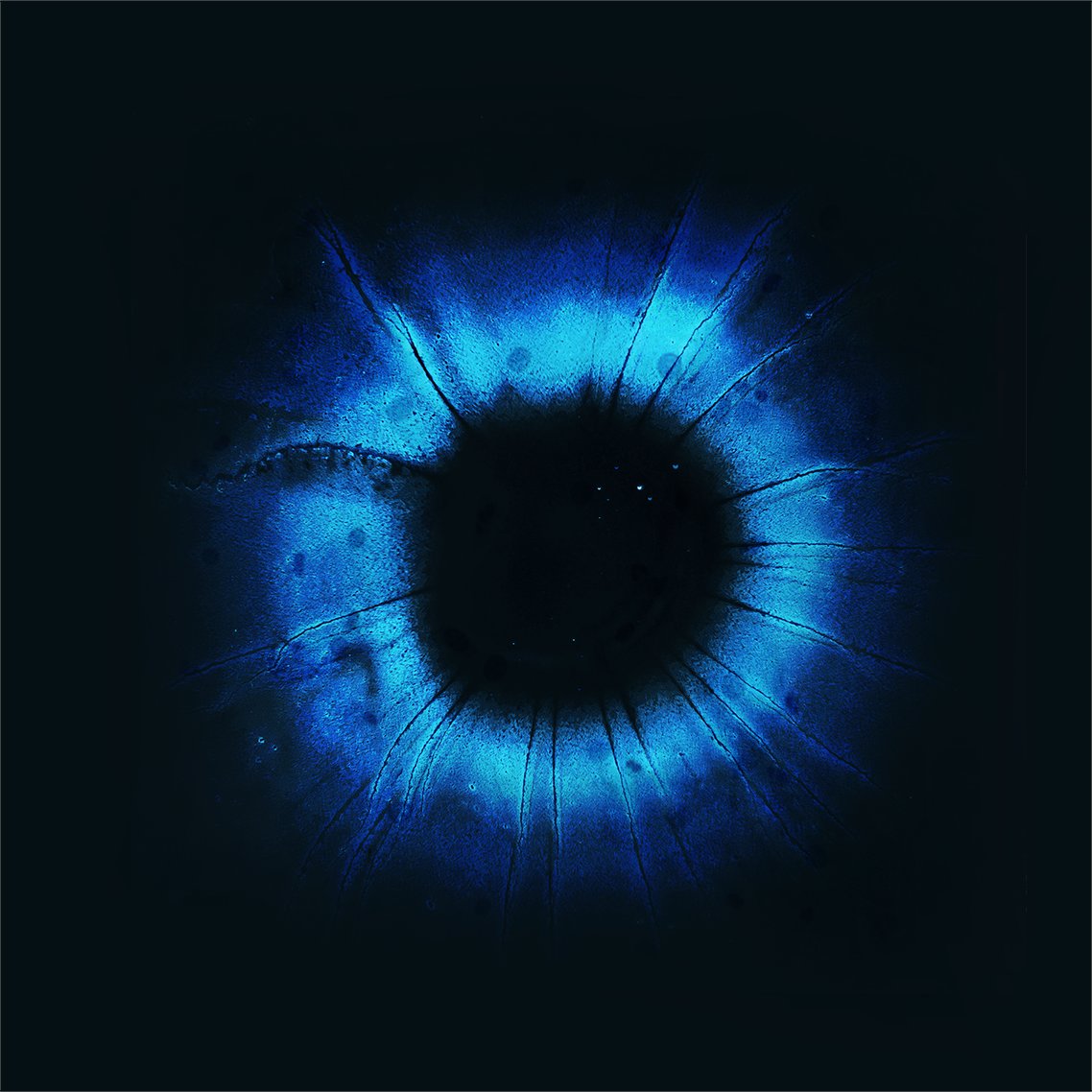 Our CytoProcessor® solution is featured in the scientific article "A Cytopathologist Eye Assistant for Cell Screening," recognizing its AI-powered impact in precise cell differentiation and classification. 
Link to the article: bit.ly/450dfWR
#scientificarticle #datexim