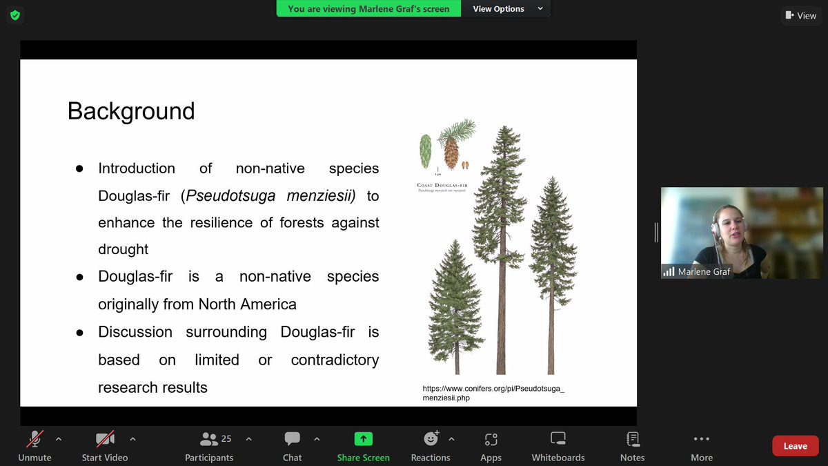 TerrEcolGroup tweet picture