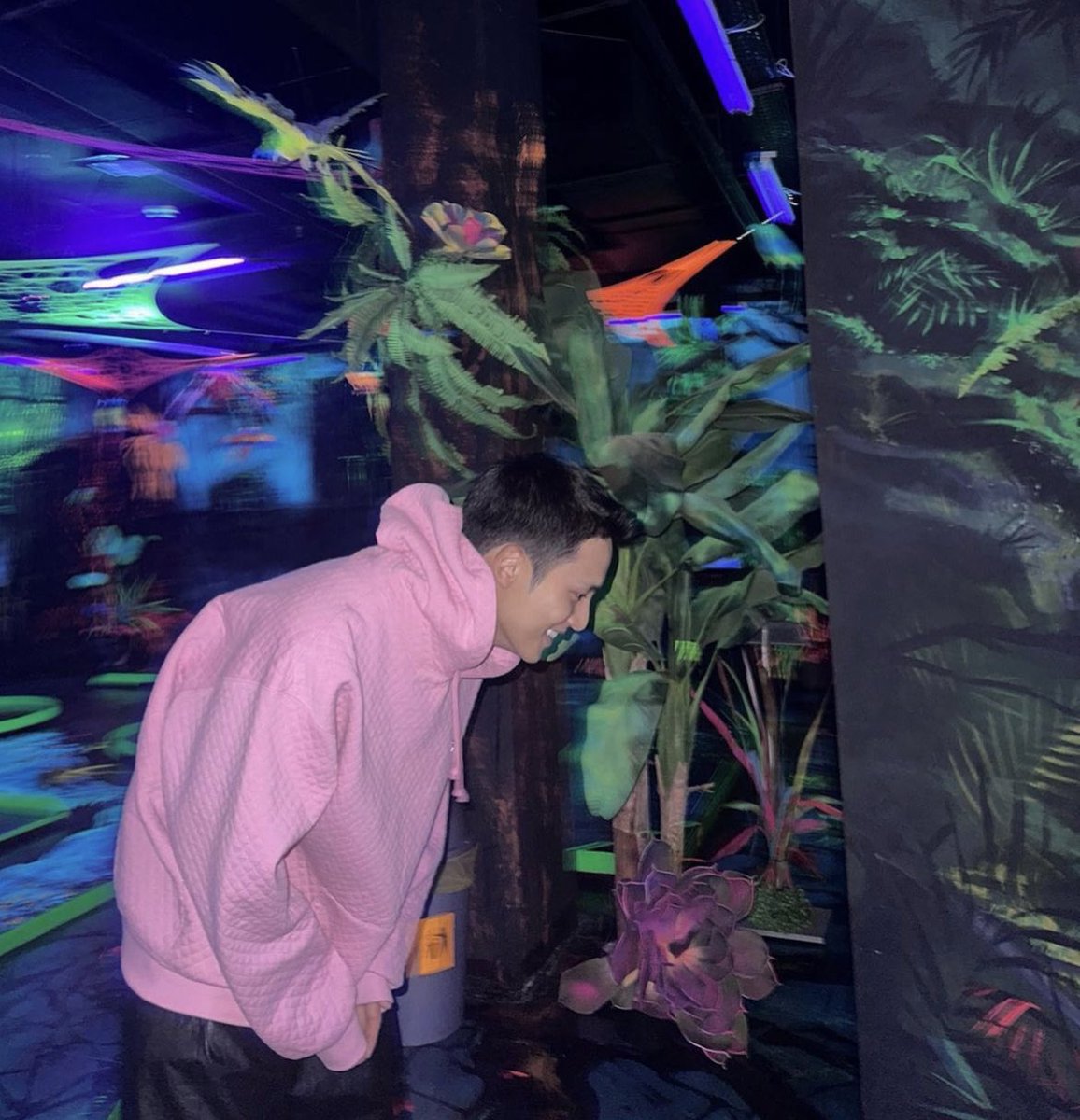 diesisyete's tweet photo. when the fake plants start making jokes https://t.co/mnrHULCAFV