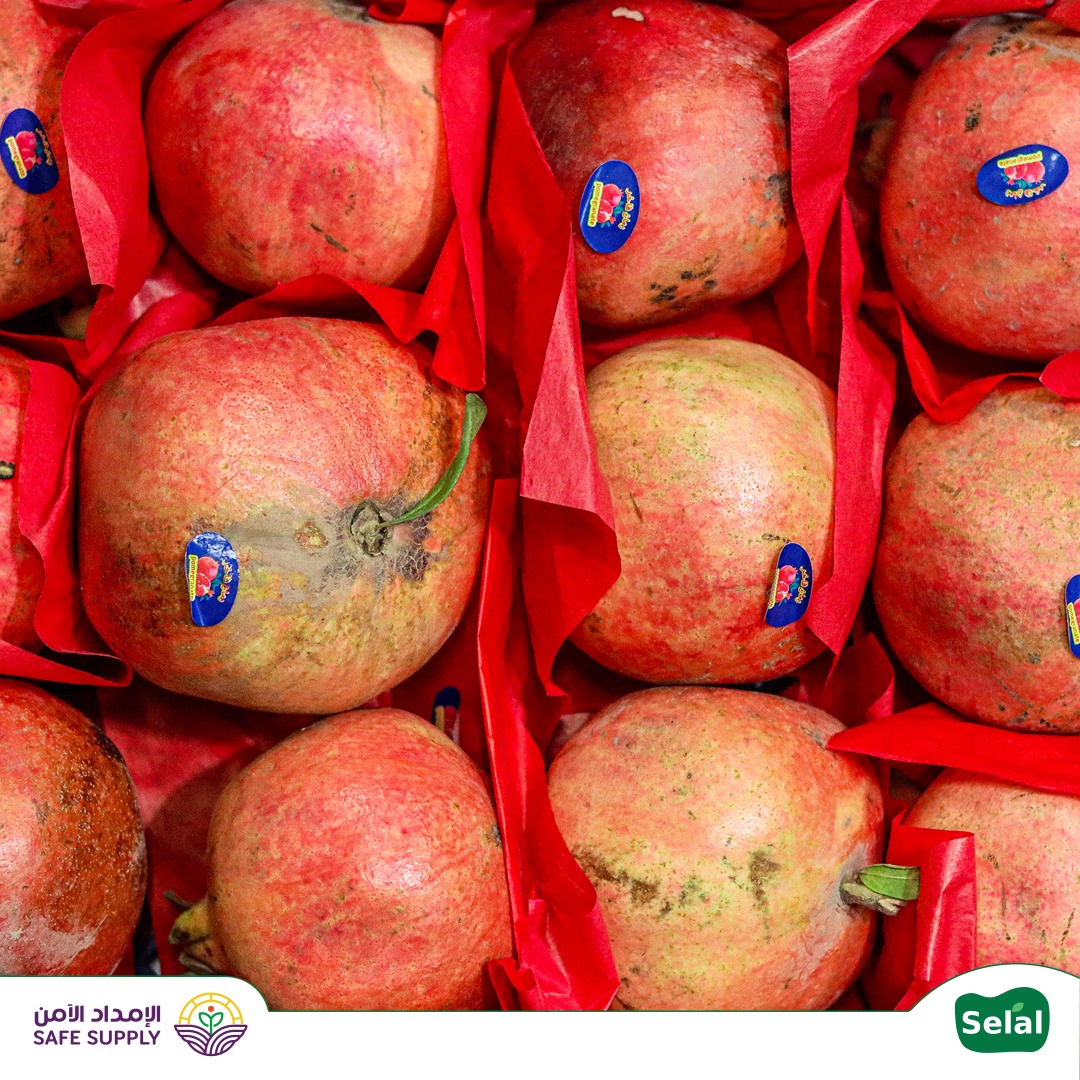 لأن عملائك يستاهلون

قدّم لهم أجود أنواع المانجو والرمان الطازج 🥭🌸

وش تستنى اطلب كميتك وعطنا عنوانك ولا تشيل هم التوصيل 

wa.me/966543245202 

#رمان #توصيل #بيع_بالجملة