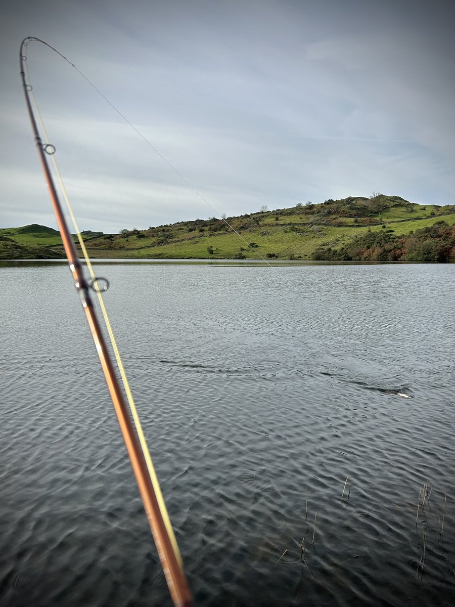 Jsmithy1994's tweet photo. A great day up the stunning High Fairbanks yesterday. Two tens of fighting fit fish netted… #FlyFishing https://t.co/6KMn1sAa4E