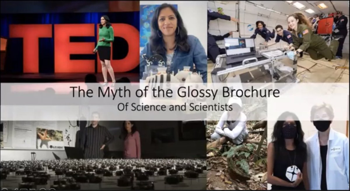 Revisiting an inspiring talk by Radhika Nagpal on "the myth of the glossy brochure" and publicly enacting one's own definition of success.
