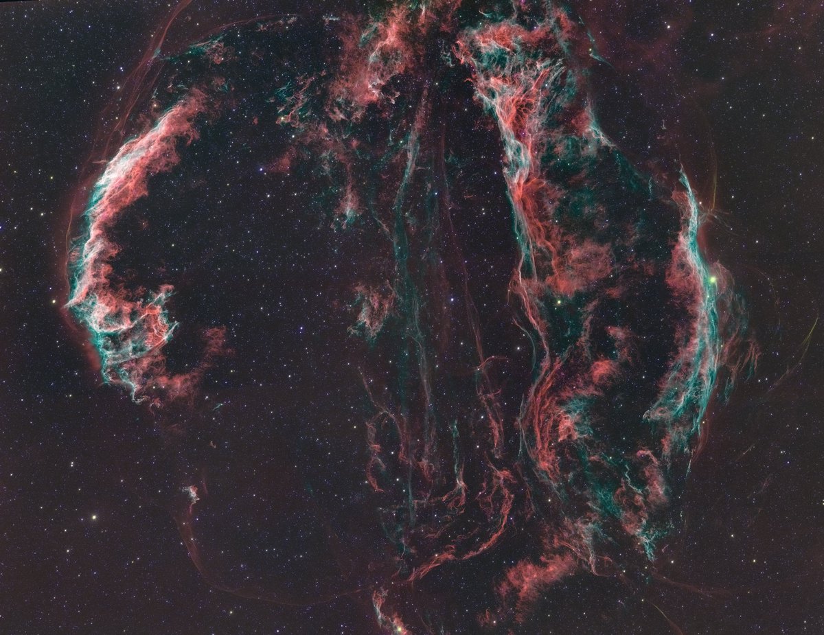 Dr. Peter NFT tweet media