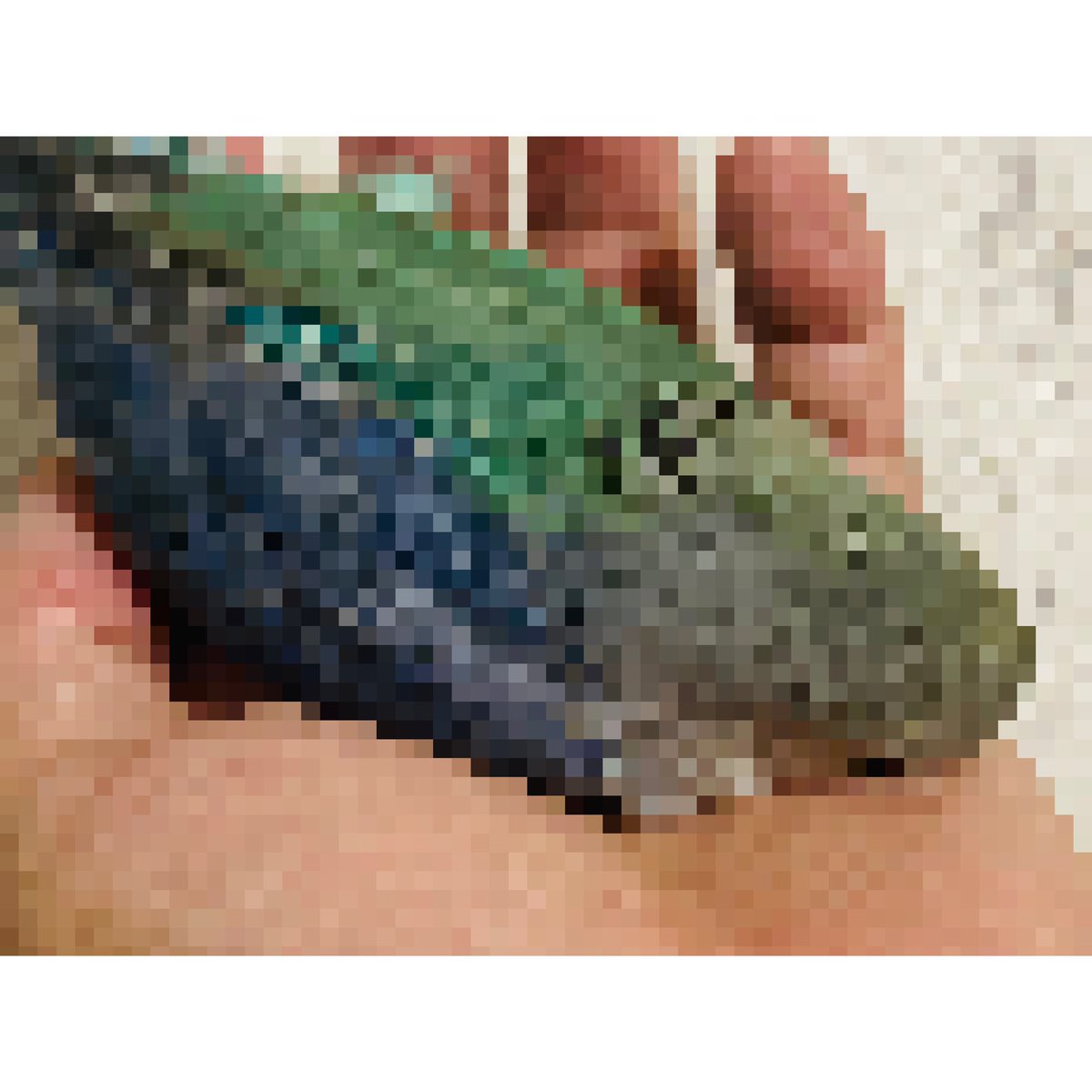 mopland46494's tweet photo. Amazing Parakeet🦜

Coming Soon https://t.co/4YF03mxYpP
