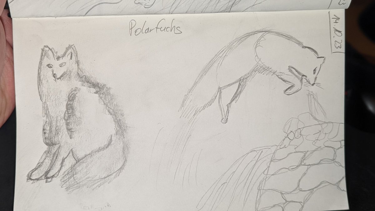 Gleich_Daniel's tweet photo. - A Thread -
Recently, I've been doodling daily for a semester project. Hopefully I see some improvement soon 👀 #gameart #dailydoodle #gamedev #solodev #gamedevelopment https://t.co/CFjRSM8NGk