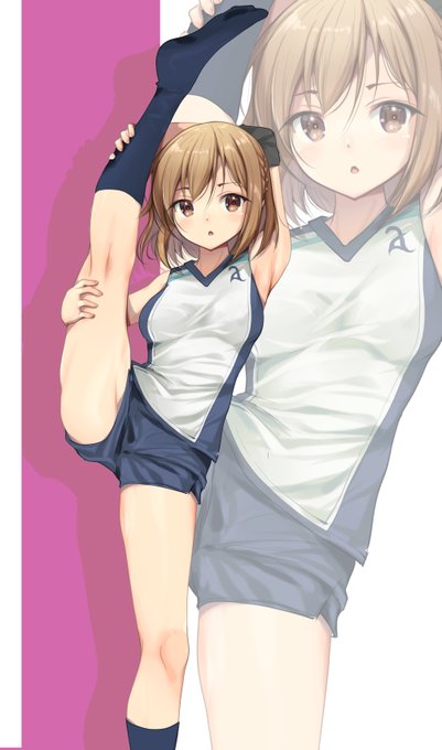 コロちゃんは余裕でI字バランスとか出来そう。 