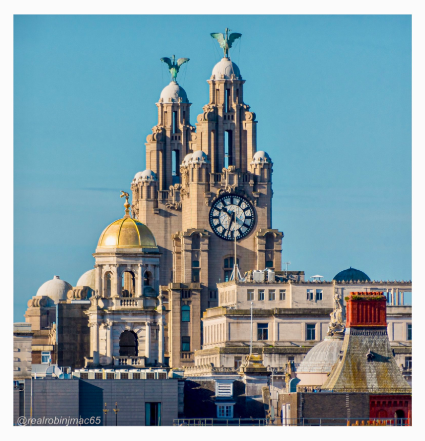 What a fantastic shot of the building, looking across the city's rooftops 😍

We love seeing photos of the building from all different angles.

📷 @realrobinjmac65

#rlb360 #liverbirds #liverpool #royalliverbuilding #liverbuildingtour #visitliverpool #exploreliverpool