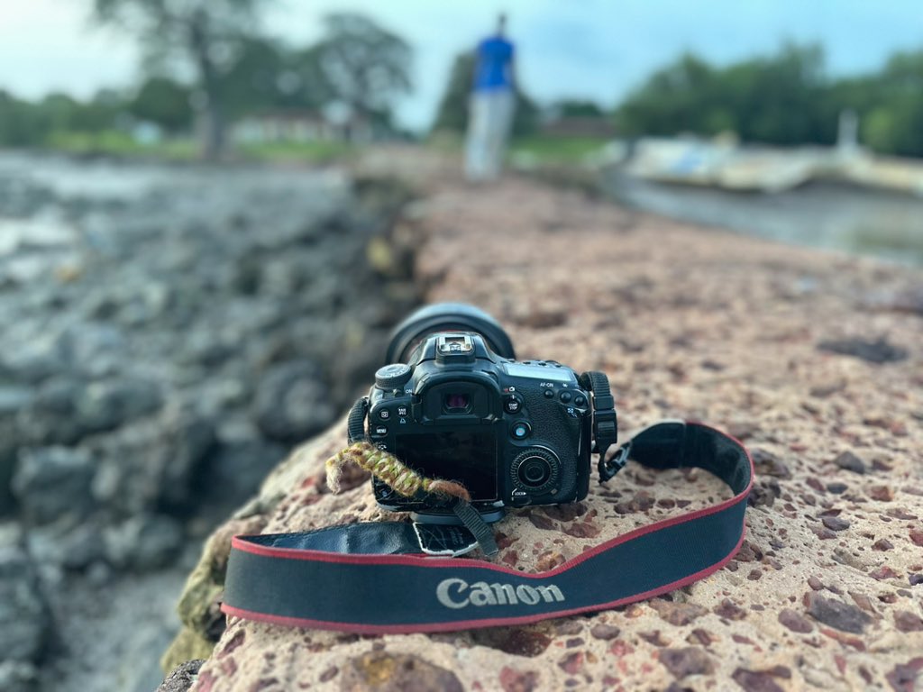 bakzfofi's tweet image. None is infallible. We must learn to join hearts and share our common values, good(s), goal(s) and making sure that our consciences are guided by goodness only. 

That’s what makes up human.
#concience
#infallibility
#beguided
#gracefulheart 
📍Kemoto, Lower River Gambia 🇬🇲