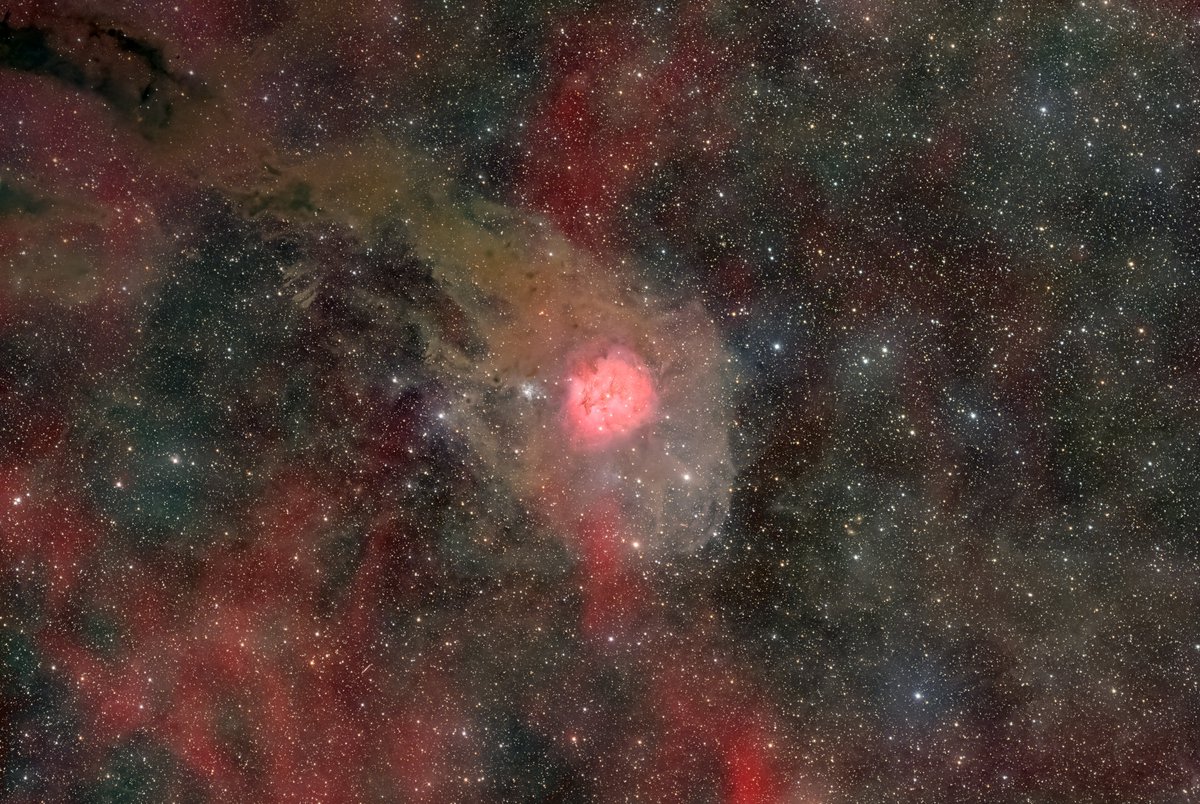 Dr. Peter NFT tweet media