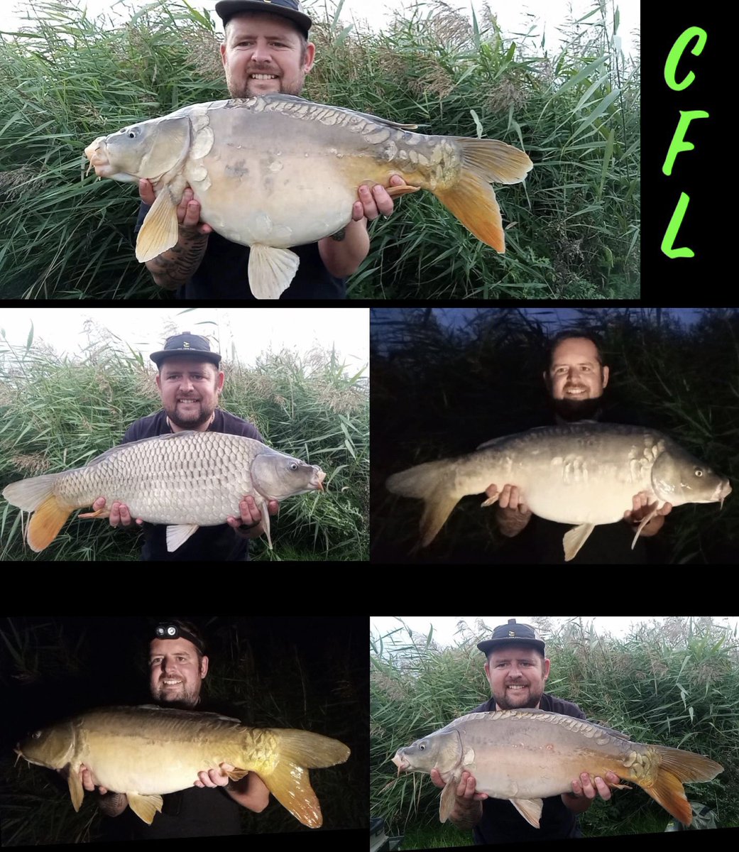 EAAnglers's tweet photo. Best of 14 I had last night biggest topping the scales at 18lb 8oz.
Using carping for life raven hooks and end tackle and Jurassic Particles Hemp, buckwheat, salt and pure hemp oil.
#photooftheday #carpfish #angling #carpy #lakeside #carpfishing #familyfishing #catchandrelease https://t.co/I3KE35n8rM