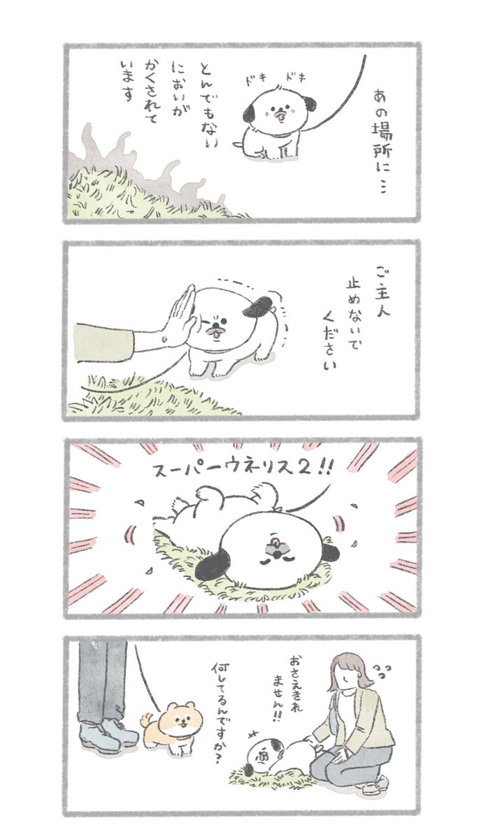 魅惑の香り #こんにちはいぬです