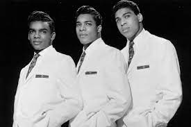 Paula Fitzpatrick tweet media