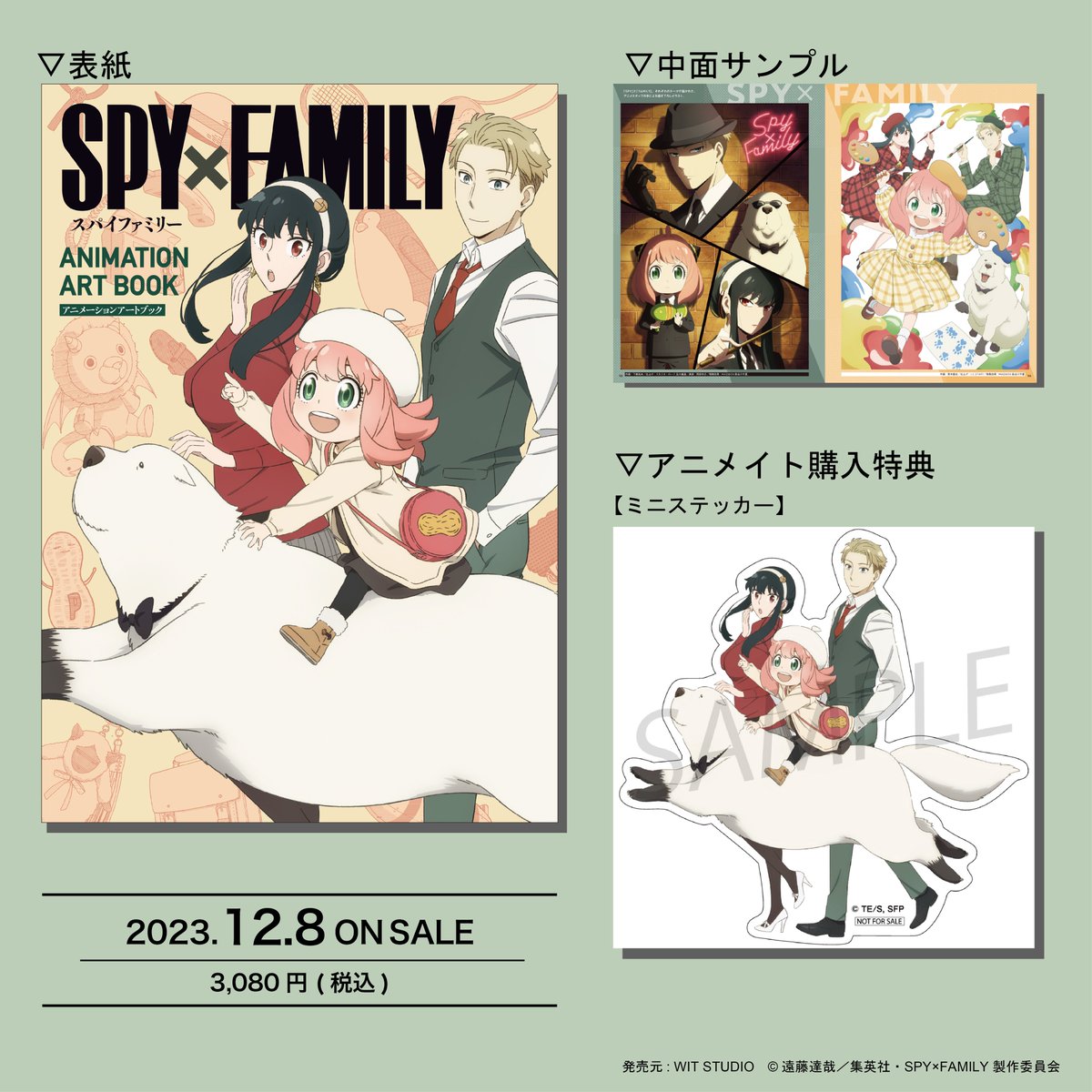 🌟予約受付中🌟 📚ファン必見 設定資料集！ 『SPY×FAMILY ANIMATION
