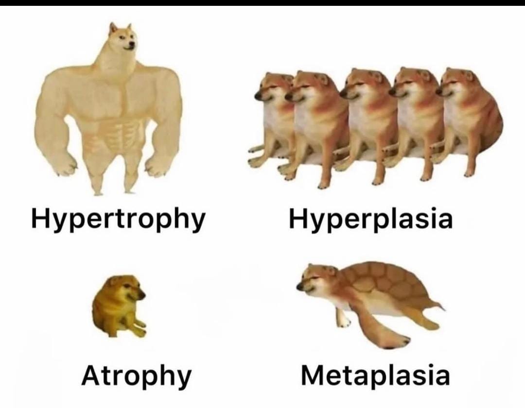 Pranshu71298418's tweet photo. Remember in Dogesh style :- 
#MedTwitter #MedEd #MedX https://t.co/G7SQkImZ2c