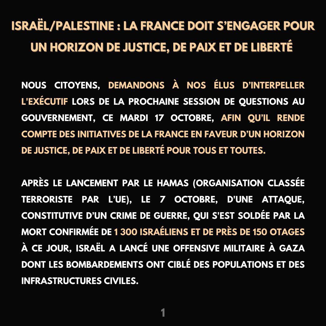 samioushkaaa's tweet photo. 🗣️ J’interpelle #noselus 
#cessezlefeu #Gaza 

@Amiel_David_ @Fanta_B @EmmanuelMacron @MinColonna @francediplo https://t.co/Tx8Qir0qgR