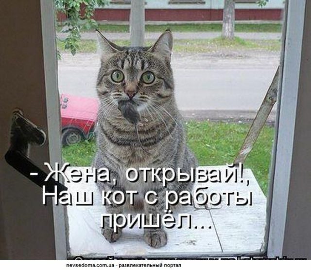Еленка (@elenka89589568) on Twitter photo 