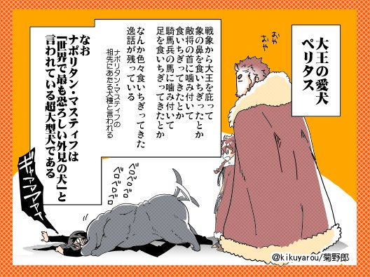 犬の話をしたのでイスカンダルの犬の話、逸話によるとペリタスは王の大のお気に入りで、最後は王を庇って致命傷を負い、王の膝の上で息を引き取ったそうです(王は嘆き悲しみ、ペリタスって名前の街とペリタスのための神殿を作ったそう)