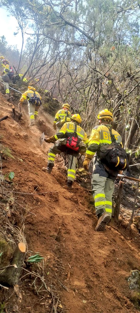 AT_Brif's tweet photo. 📃Campaña extinción Incendios forestales 2023
01/06-15/10 finaliza:

👨‍🚒@BrifPuntagorda #LaPalma

🔥51 Intervenciones en #IIFF entre los más destacados:

#IFPuntagorda
#IFArafoCandelaria
#IFTejeda

🚁🚁419h 59'⏱️horas de vuelo

Somos #BRIF de @mitecogob https://t.co/CL6XOJ9hI3