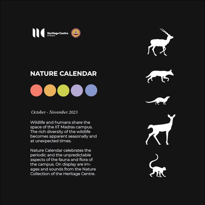 CentreIit's tweet photo. Come see @CentreIit’s latest exhibition “Nature Calendar”. Drop in and learn about the “big 5” animals of @iitmadras &amp; the other #flora &amp; #fauna on campus. We have: a nature-sounds quiz, rare animal videos from campus, plants of the campus &amp; a handmade campus butterfly exhibit. https://t.co/RlyfB5oMj9