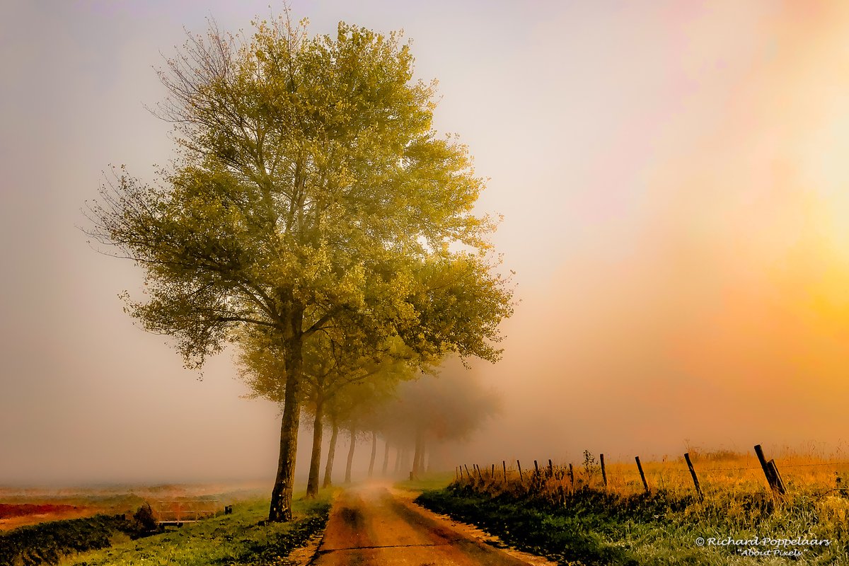 About_Pixels's tweet photo. De natuurlijk rijkdom @opvoorneputten is dat de dag vaak al vroeg mag beginnen met het #goud van de #herfst in het landschap.
© Richard Poppelaars / #AboutPixels (17 Oct 2018) #throwback / #rural / #landscape at #polder #nature #ZHL in #Zwartewaal #VoorneaanZee #VoornePutten https://t.co/424Gdy9S2b